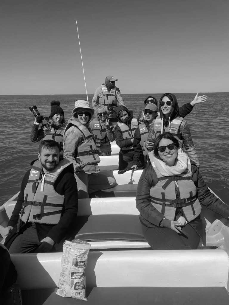 Mexico - 5-day Gray Whale Adventure in Baja, Mexico! - JoinMyTrip