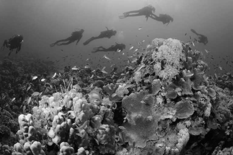 Egypt - Thrilling diving trip in the red sea - Dahab, Egypt - JoinMyTrip