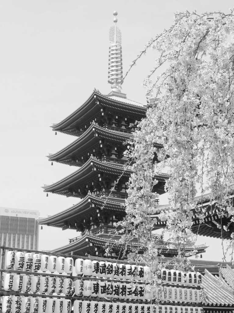 Japan - Tokyo - 3 SPOTS LEFT!!! LIVE THE MYSTIC SPRING FESTIVAL IN THE JAPANESE ALPS and experience singular local activities with a Trip Coordinator with experience in the Country! Tokyo, Takayama, Osaka, Kyoto, Mount Fuji & TONS OF INCLUDED EXPERIENCES! Local cuisine, traditions, nature and city life all-in-one - 3