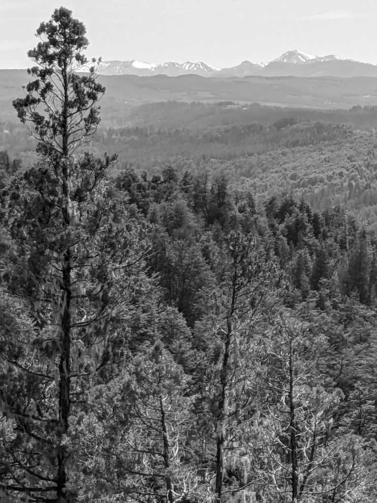 Argentinien - El Bolsón - Hands-On Patagonia Adventure: Off-Grid Living, Hiking & Skill-Building - 3