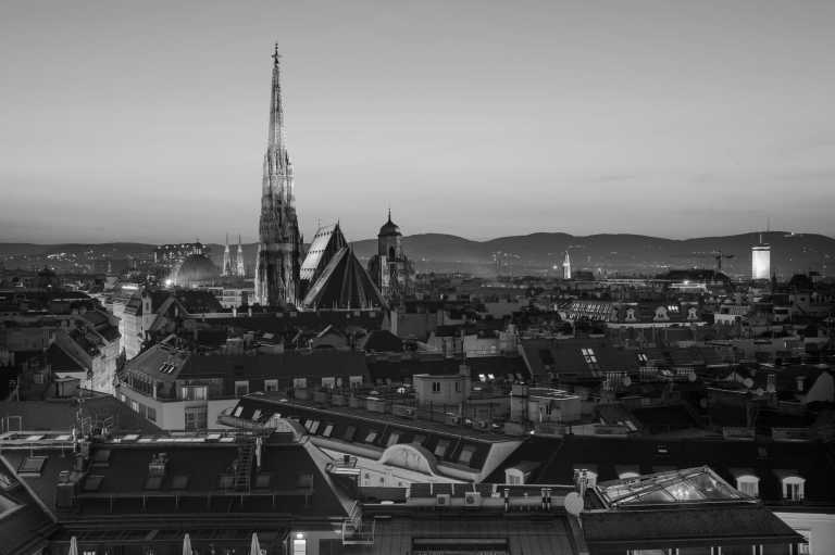 Austria - Vienna - Explore Vienna on the Weekend and meet Alpacas 🦙 - 2