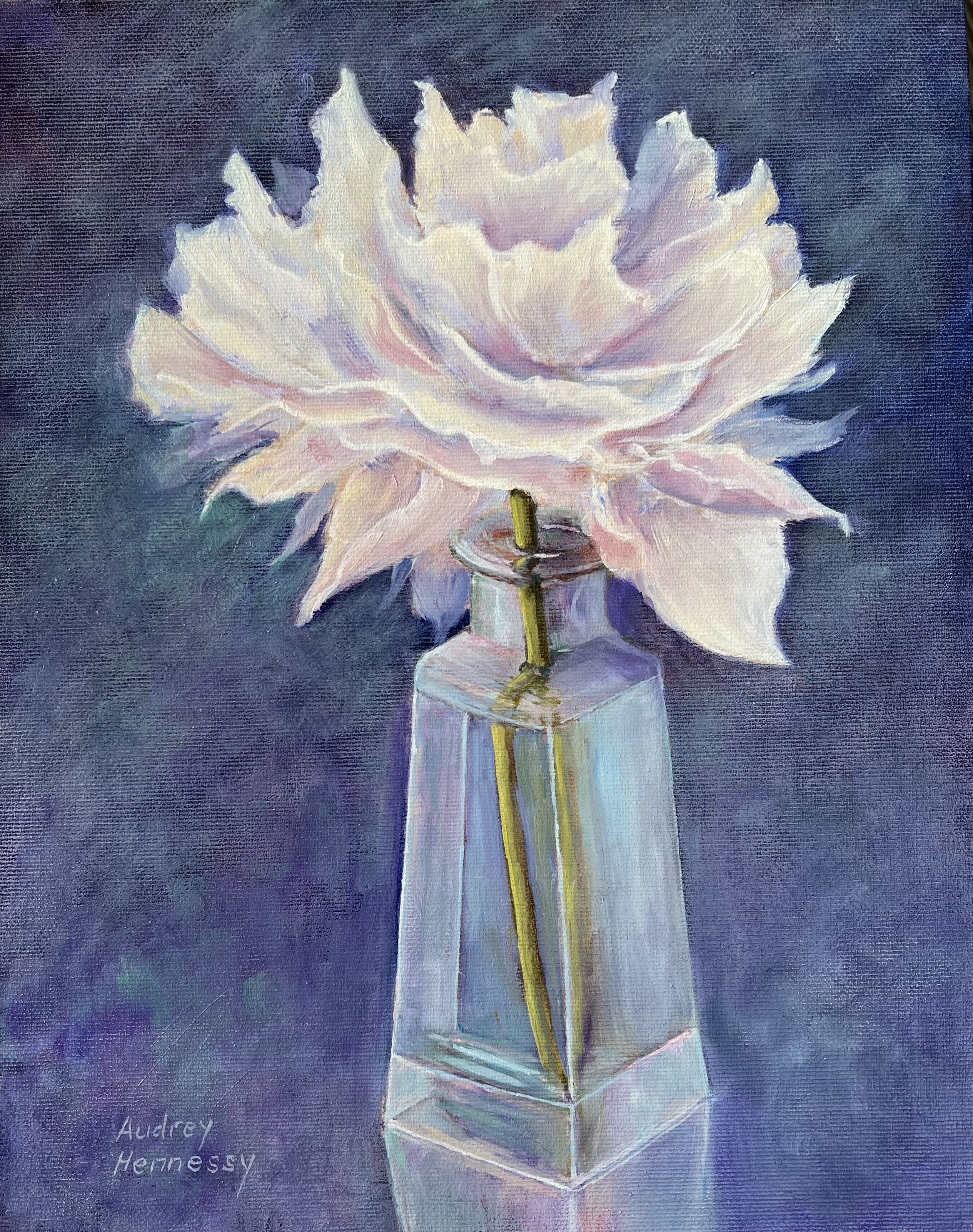 Peony Rose