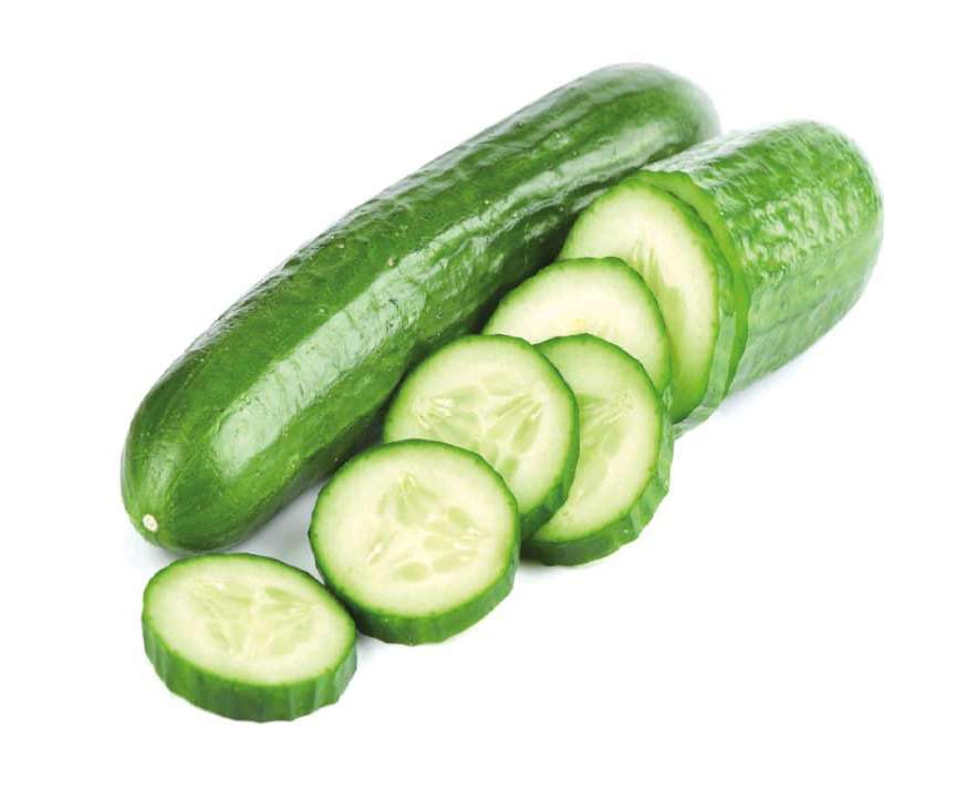 Concombre