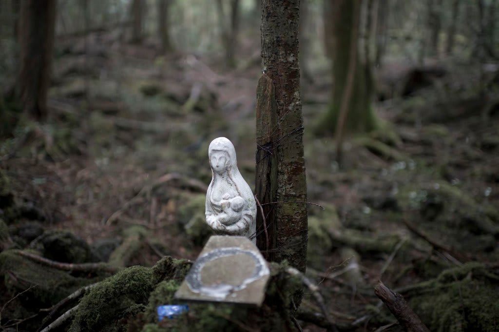 Aokigahara Forest Japan