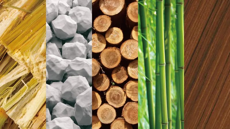 Sustainable and Eco-Friendly Materials