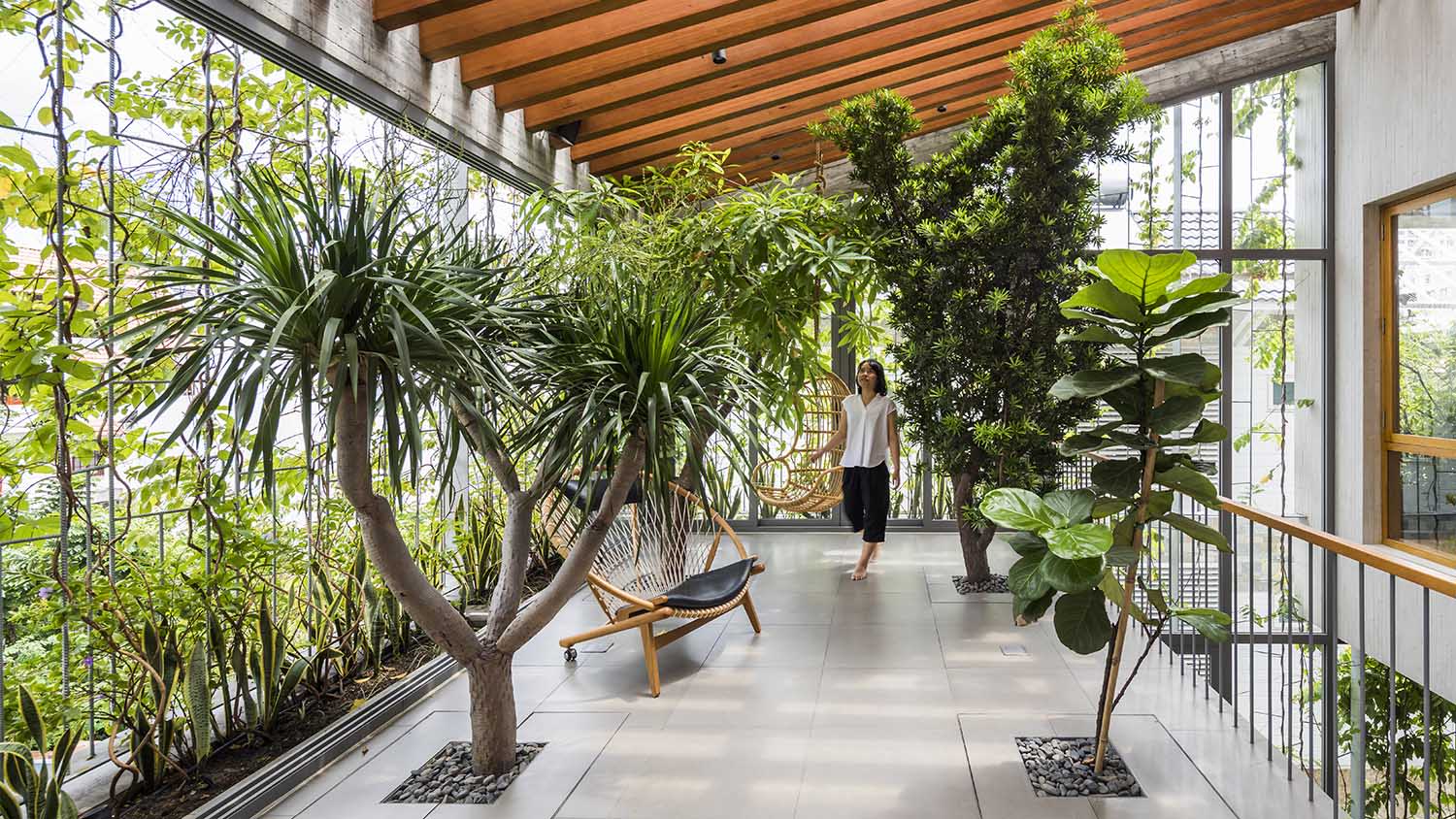 Biophilic Design Elements