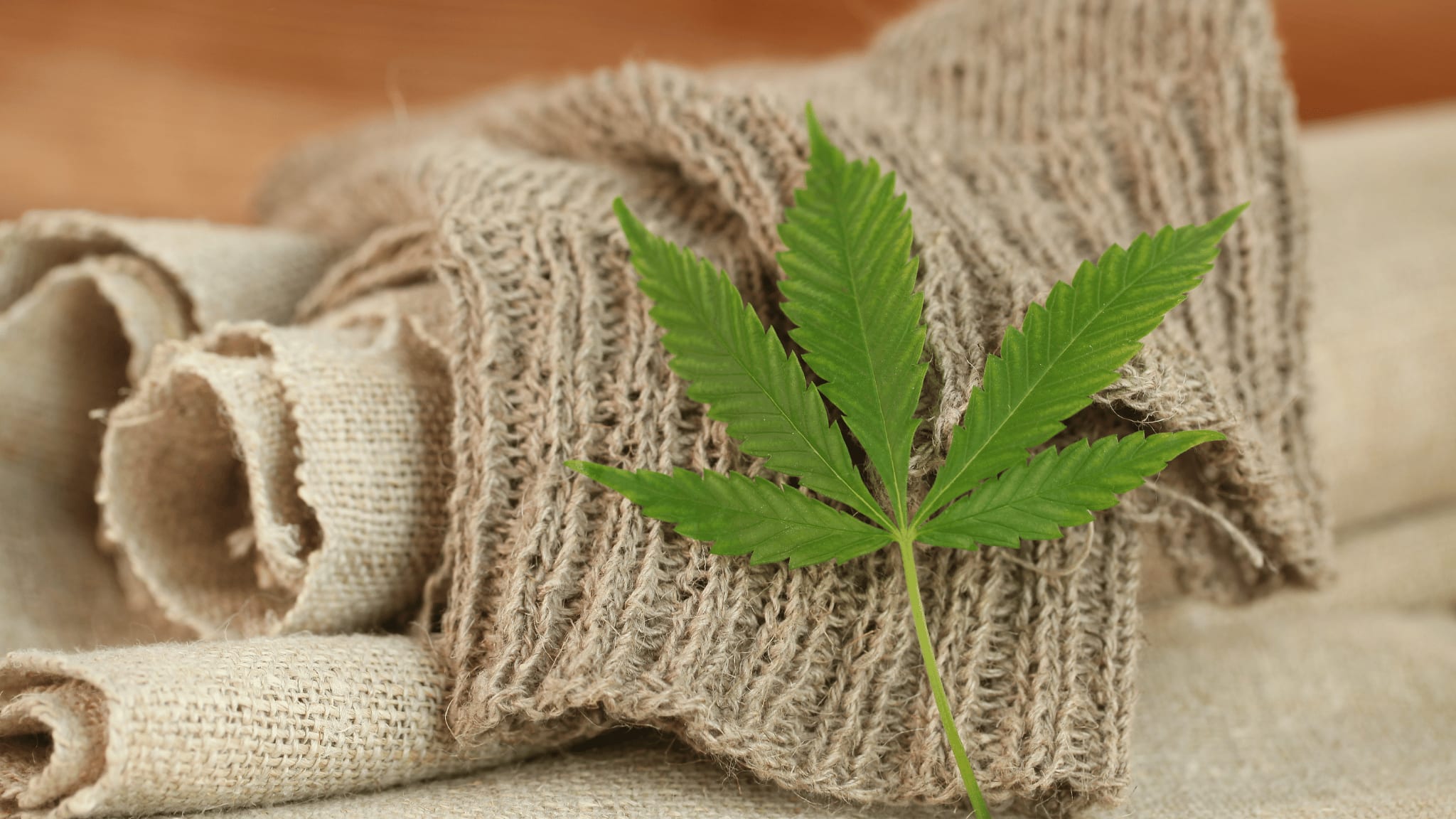 Hemp