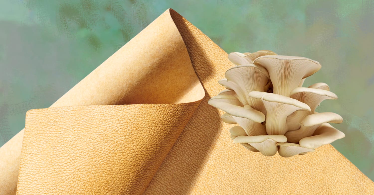 Mushroom Leather (Mycelium)