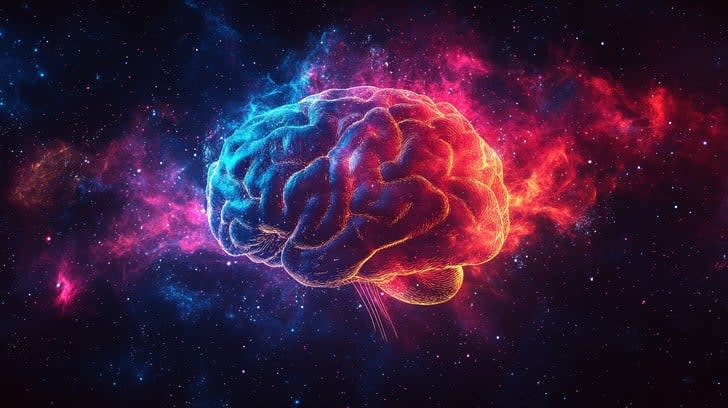 The Human Brain Has More Connections Than Stars in the Galaxy