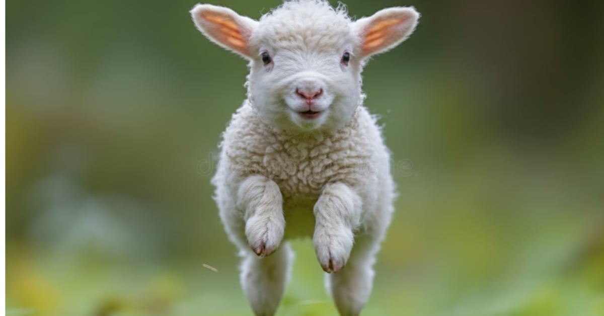 Learning to jump