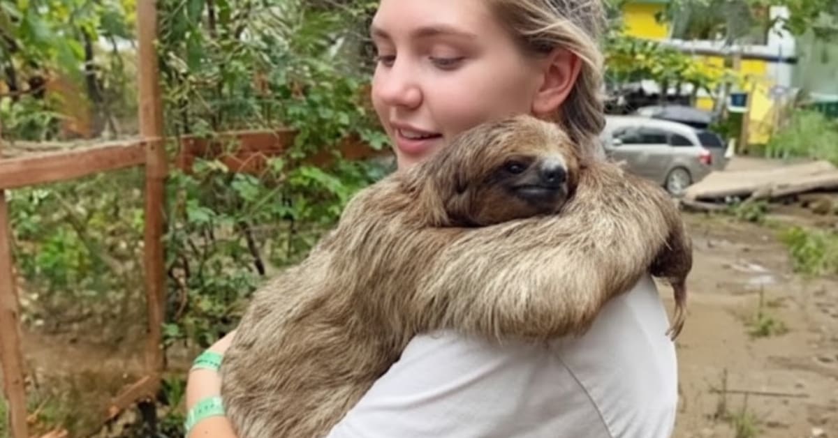 First trust in humans
