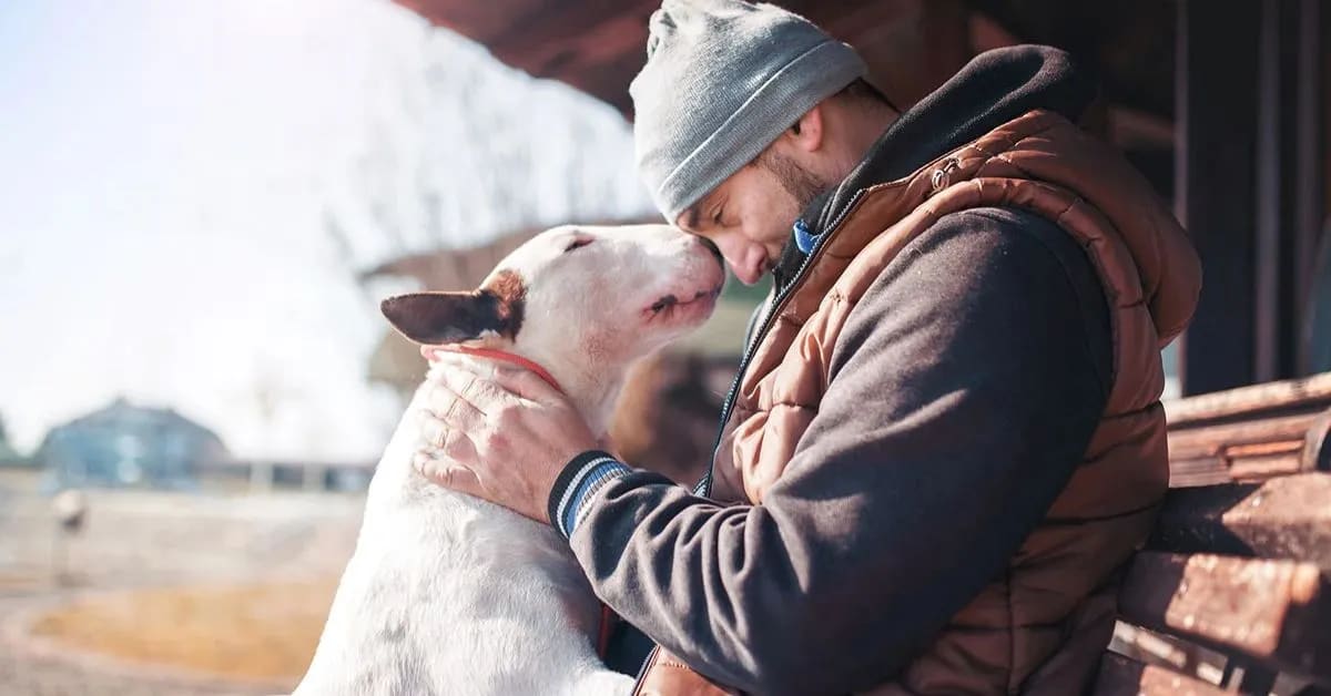 Are One-Sided Conversations with Pets Really One-Sided?