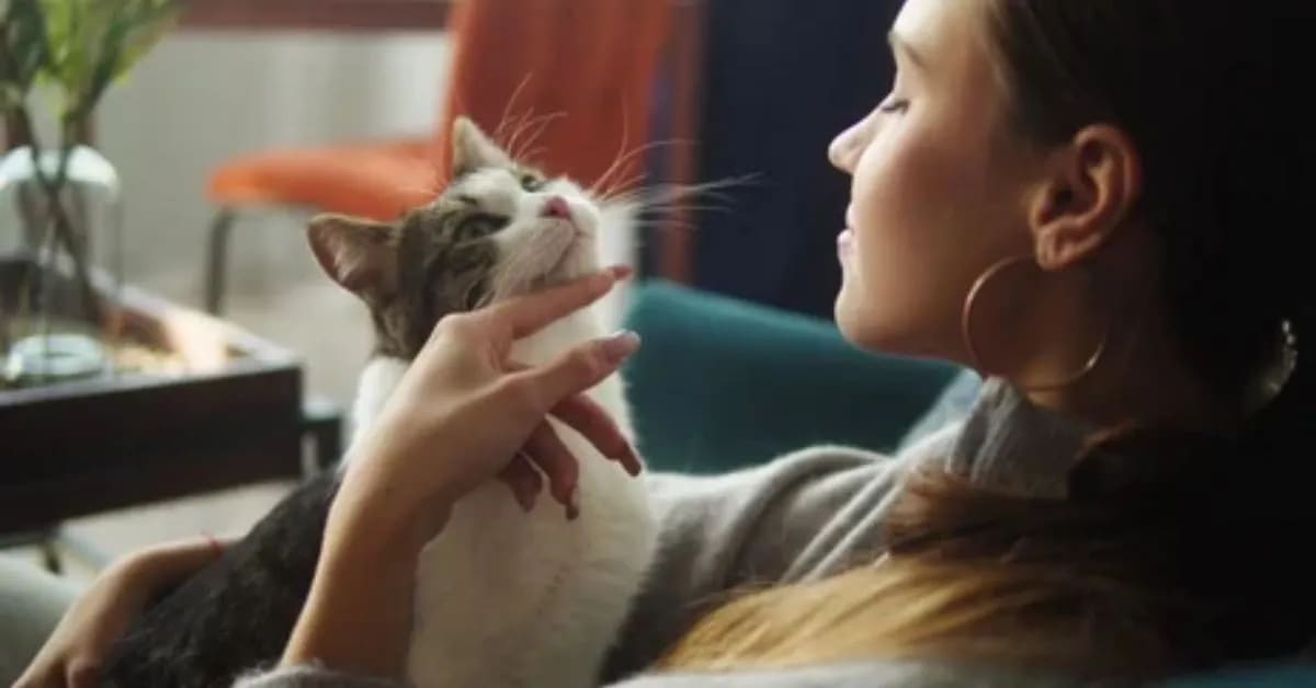 Do Animals Actually Understand Human Language?