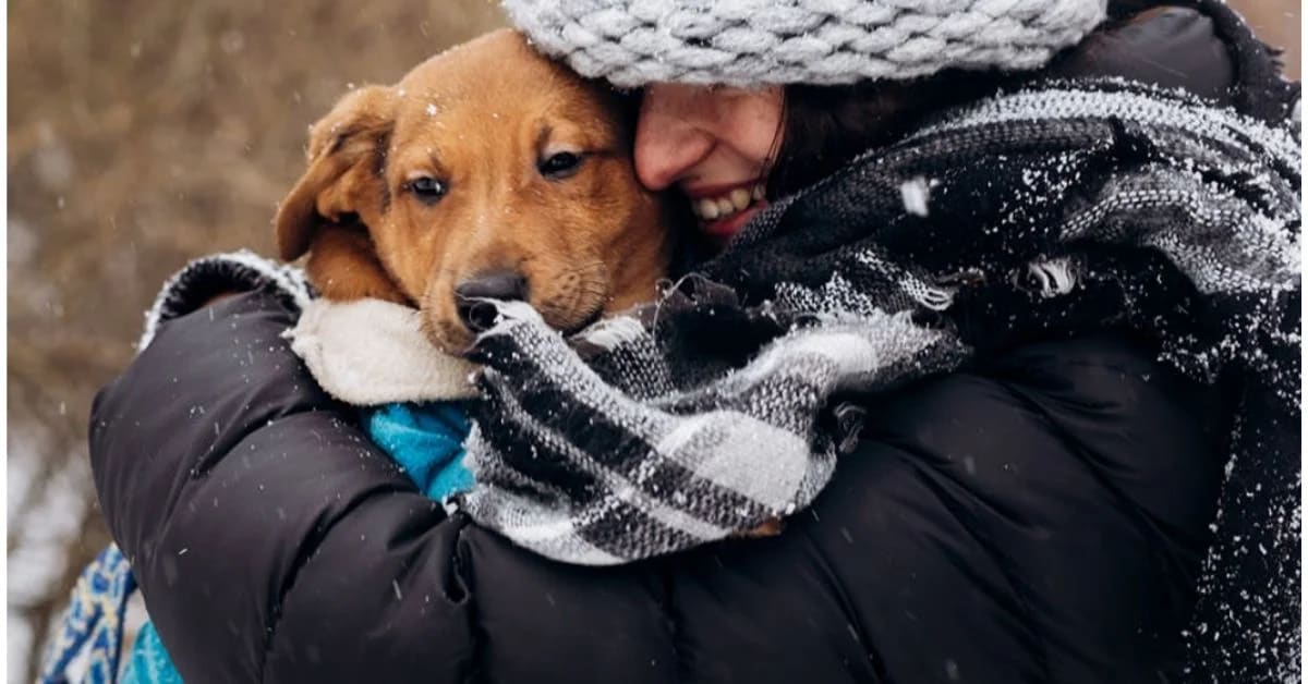 Humans’ Instinct to Anthropomorphize Pets