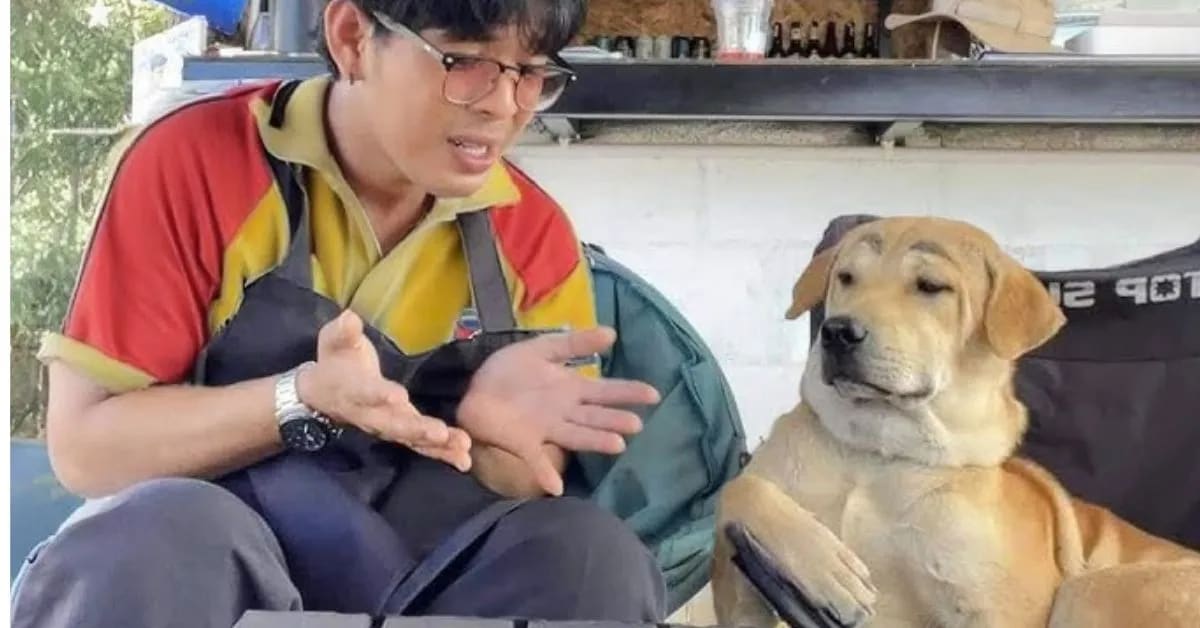 Strange but True Facts About Human–Animal Bonds