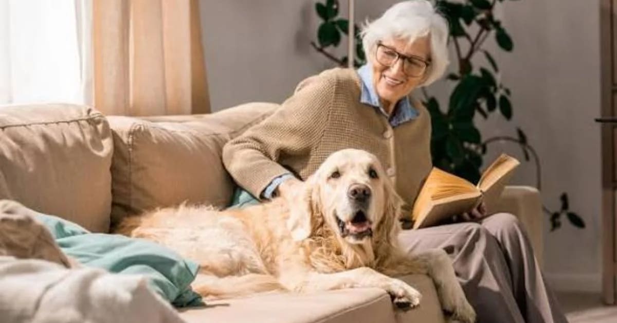 Why Humans Talk to Pets When Lonely