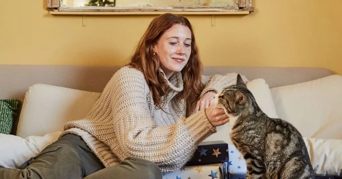 Why Do Humans Like to Pet Everything?