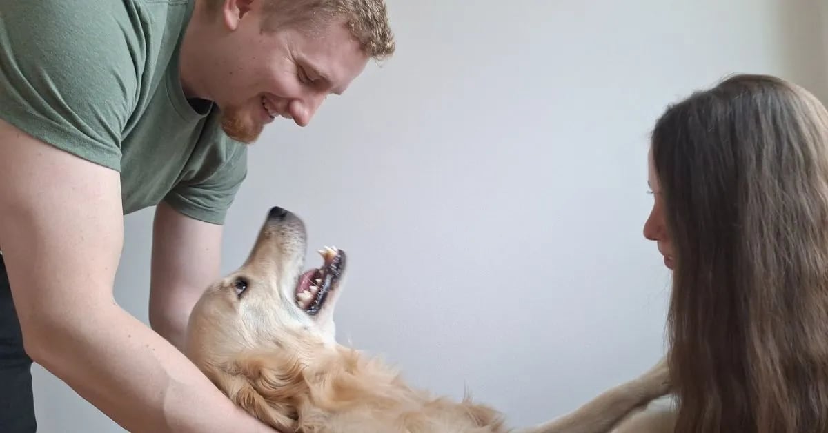 What Psychology Says About Talking to Pets