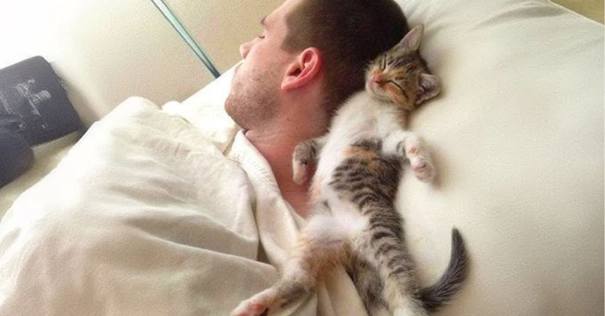 How Talking to Pets Eases Stress