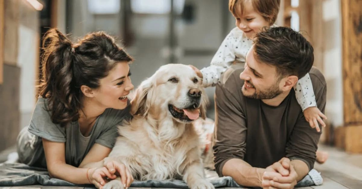 Why Do Humans Like to Keep Pets?