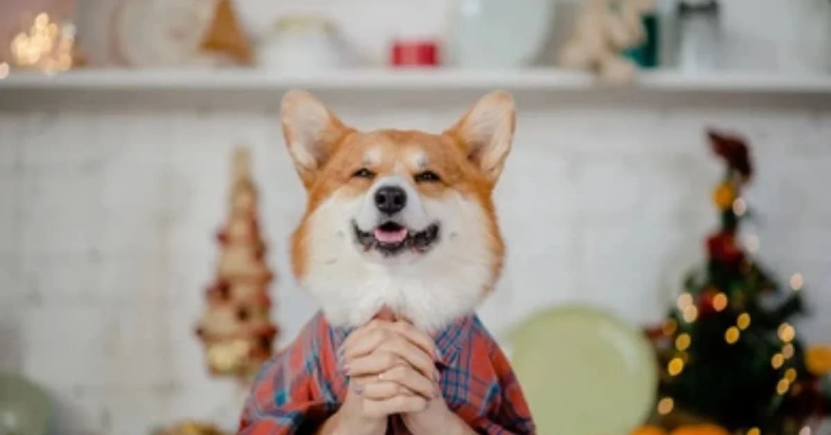Why We Use Baby Talk with Pets