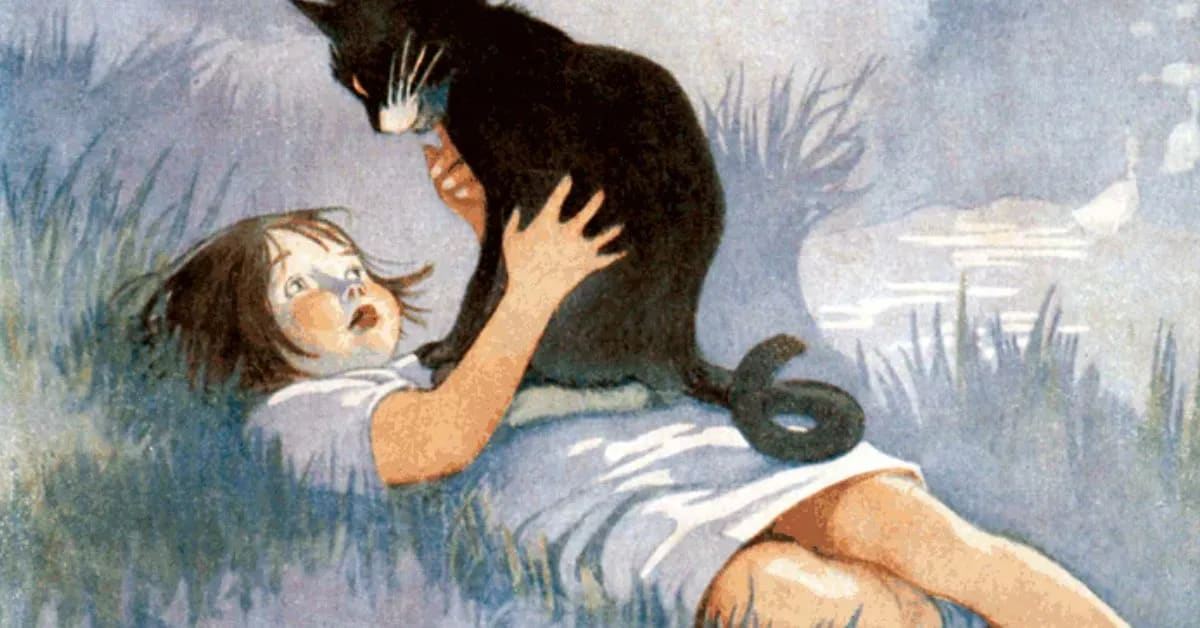 Fun Facts About Humans Talking to Pets