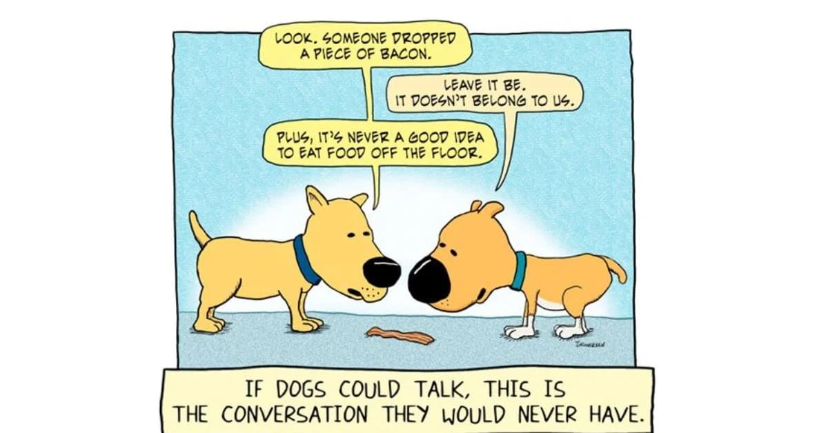 Why Talking to Pets Enhances Human Communication Skills