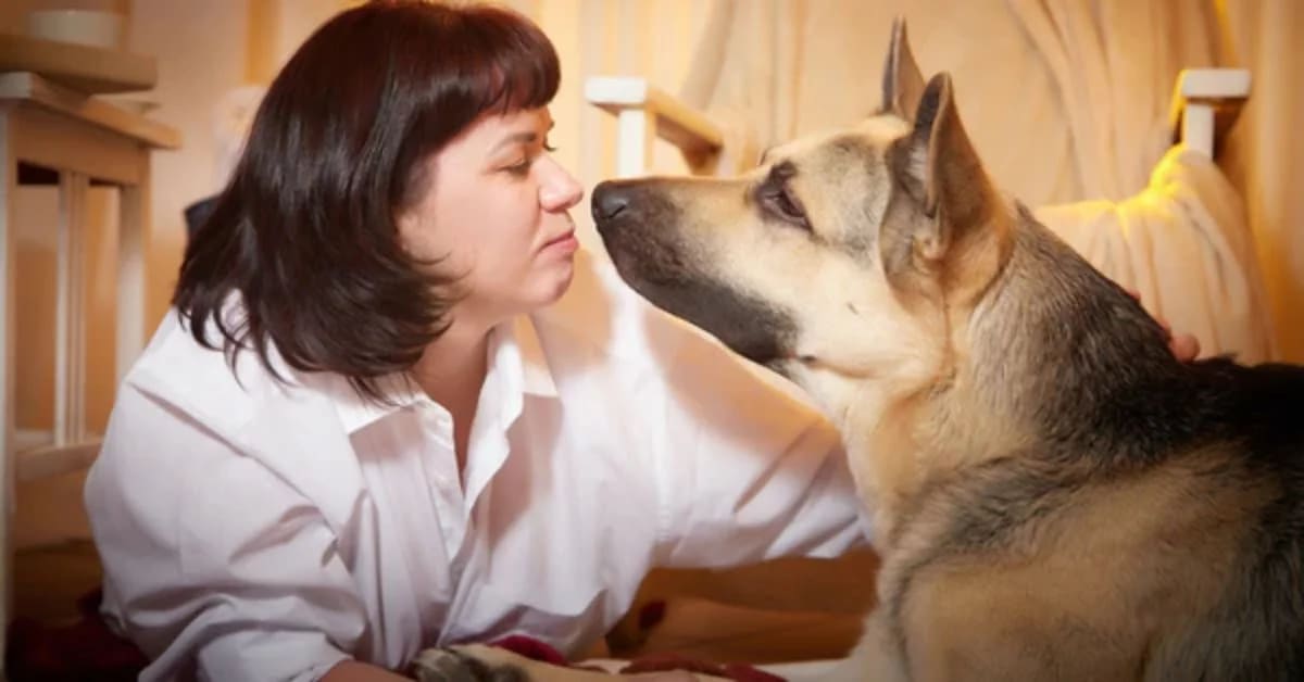 Humans, Pets, and the Need for Social Connection