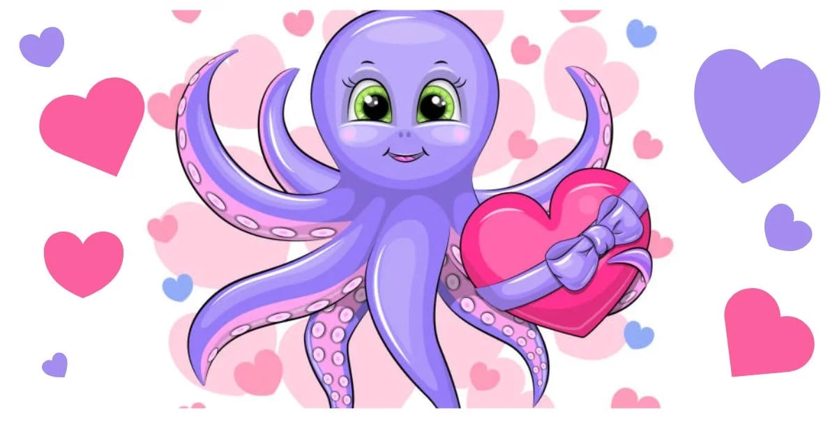 Octopus Anatomy