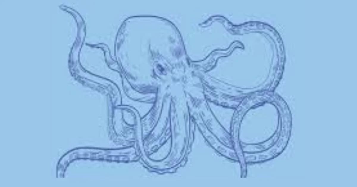 Nine Brains: The Octopus Nervous System