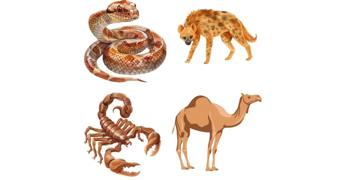 Why Animals Choose the Desert as Their Home