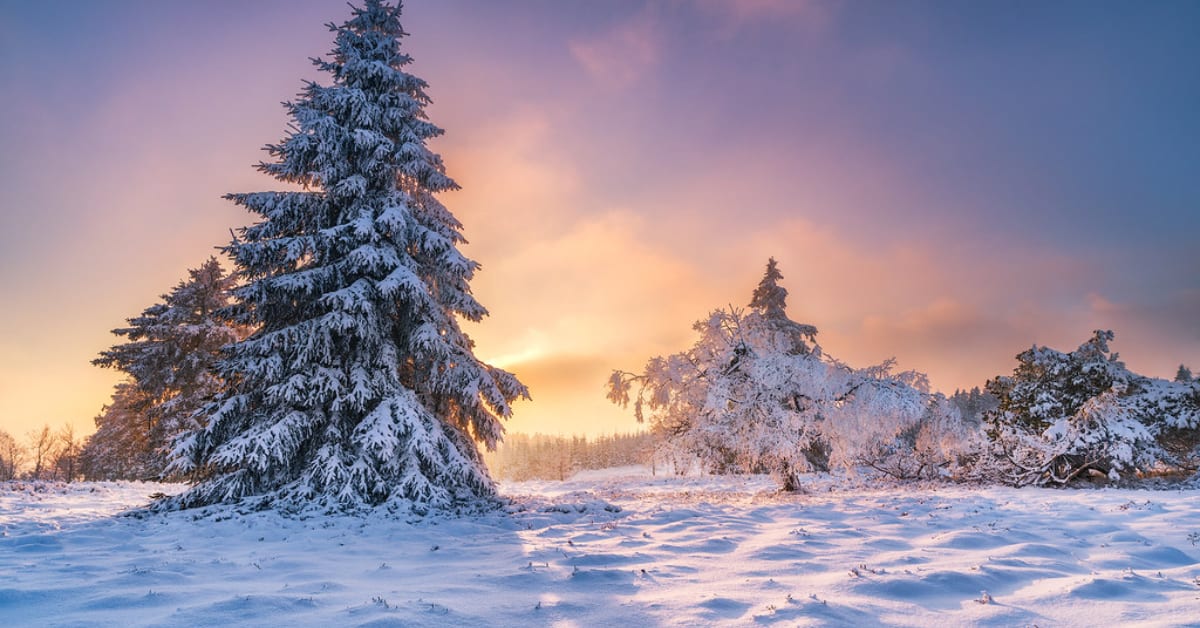 Mild Weather Supports Emotional Balance