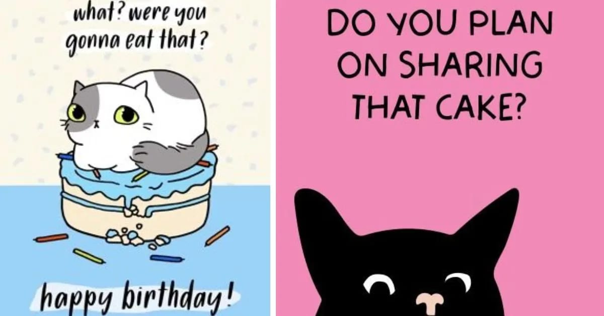 Funny Card That Calls Out Your Cake-Eating Habits Loudly