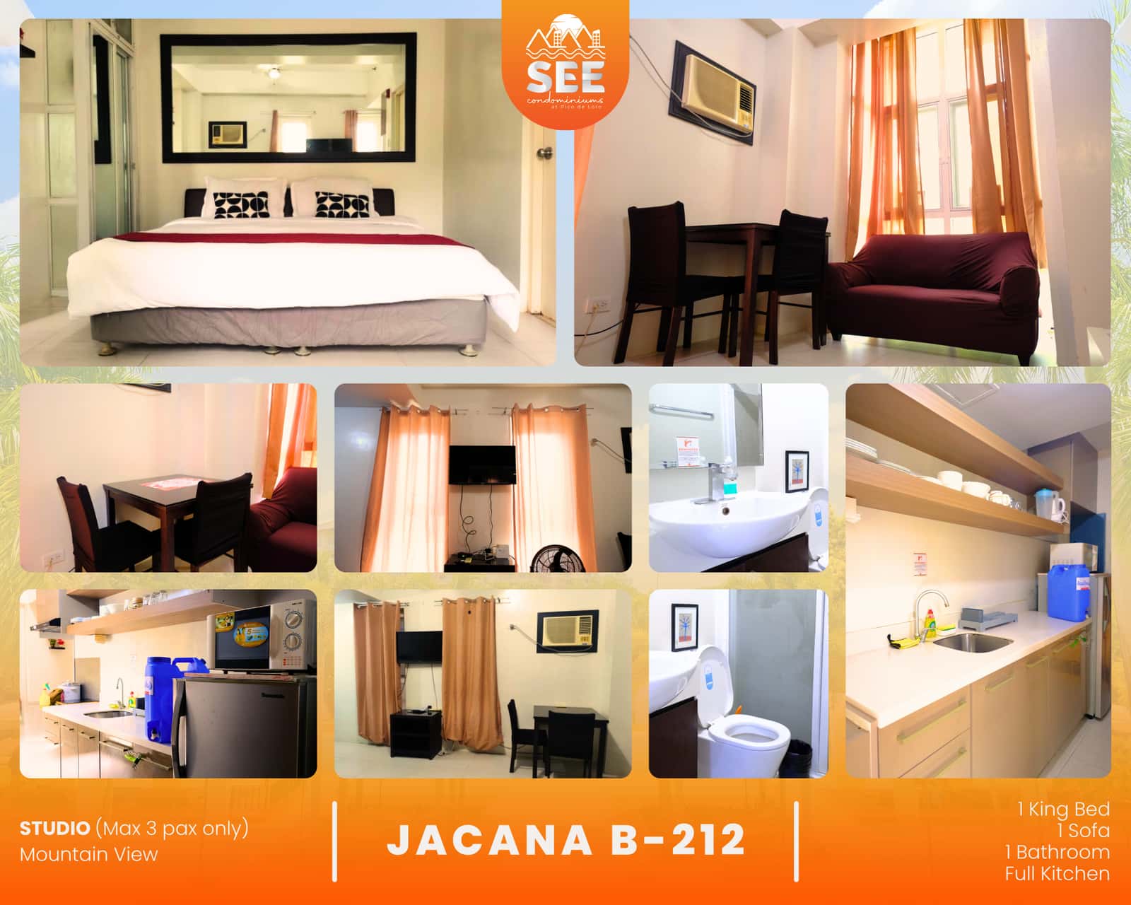 JACANA B-212