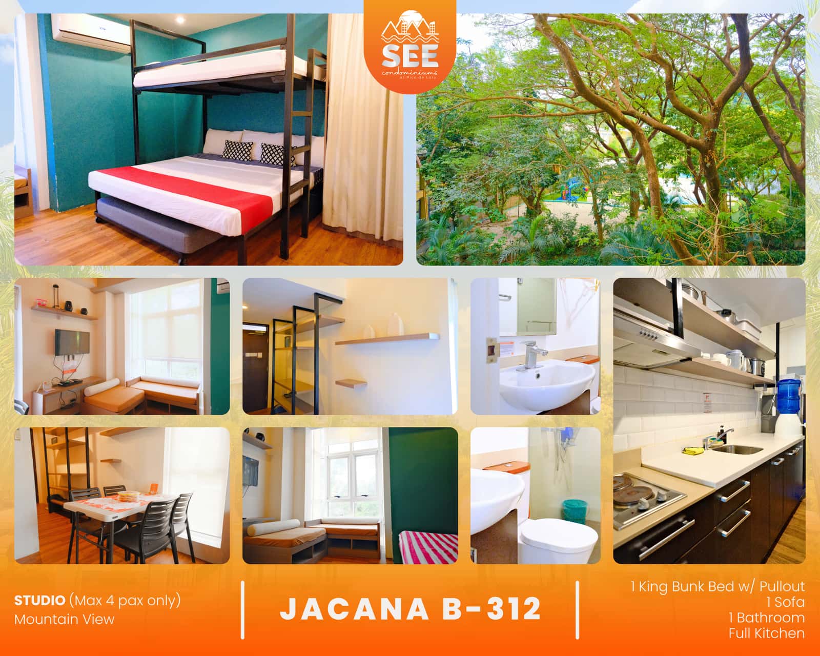 JACANA B-312