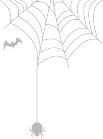 Right spider web