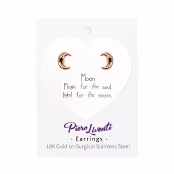 Moon, Everyday Earrings (Rose) - Thumbnail 2
