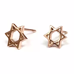 Star of David, Everyday Earrings (Rose or White) - Thumbnail 3