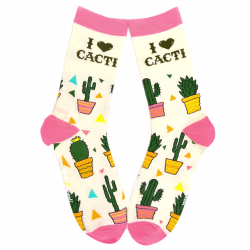 I Love Cacti , One Hit Wonders - Thumbnail 1