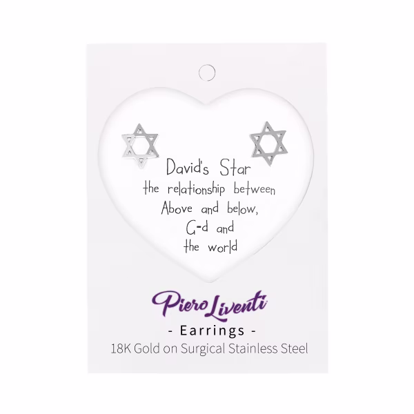 Star of David, Everyday Earrings (Rose or White) - Image 2