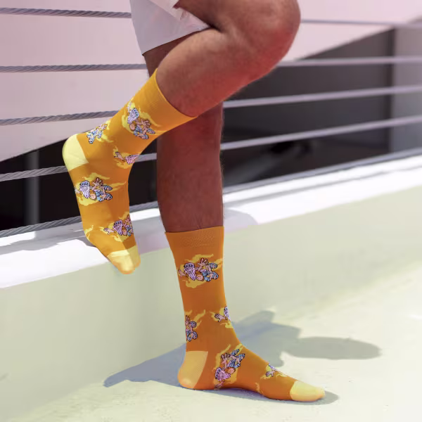 Hippie, One Hit Wonders - Image 4