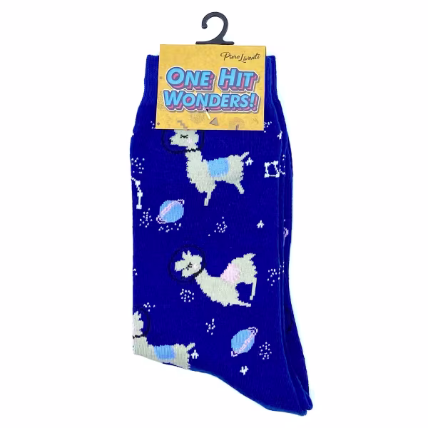 Space Llama, One Hit Wonders - Image 5