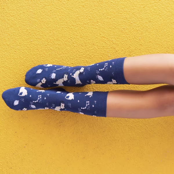 Space Llama, One Hit Wonders - Image 4