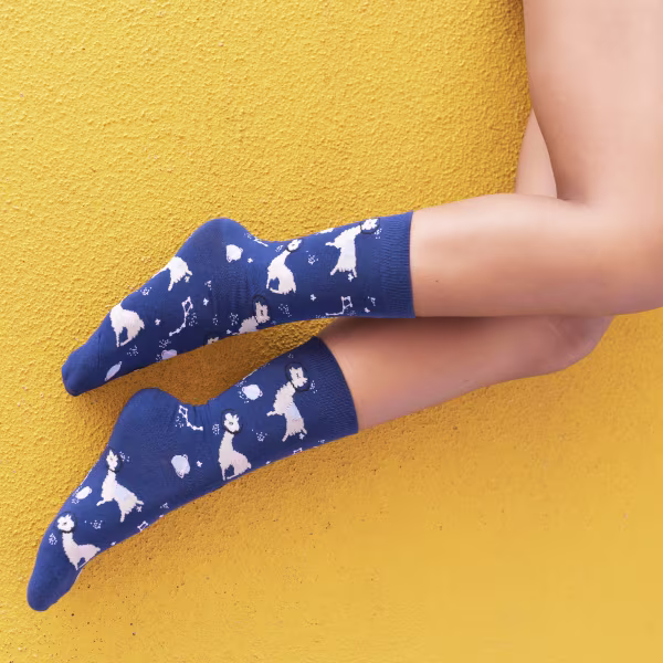 Space Llama, One Hit Wonders - Image 2