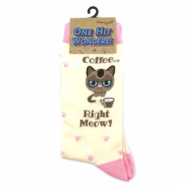 Coffee Meow, One Hit Wonders - Image 4