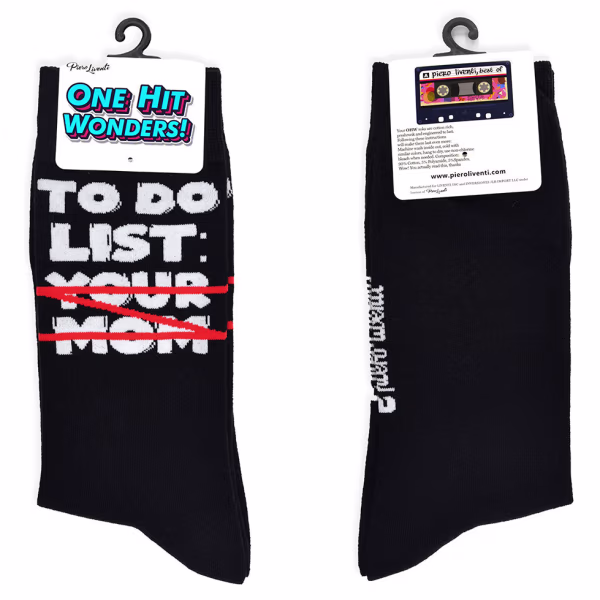 To Do List Your Mom, One Hit Wonders - Image 5