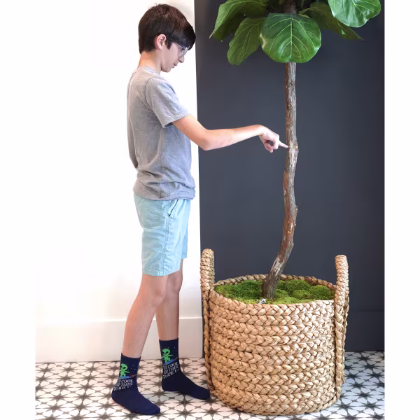 Too Cool For This Planet, One Hit Wonders Mini, Youth Sock 8 to 12 Yrs - Image 3