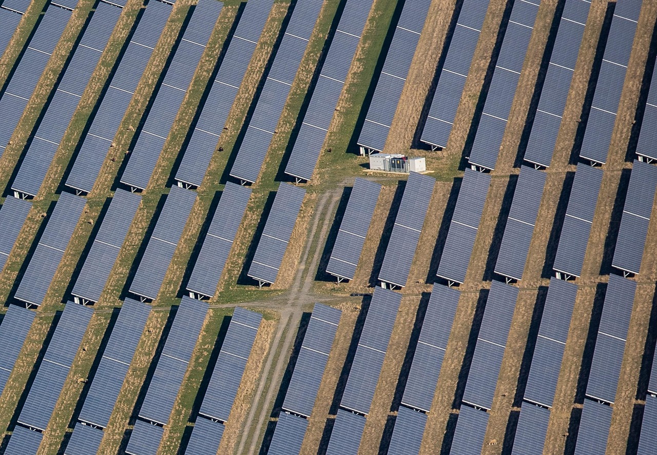 A utility-scale solar installation — the kind of infrastructure that renewable energy startups are deploying faster than traditional utility companies can adapt
