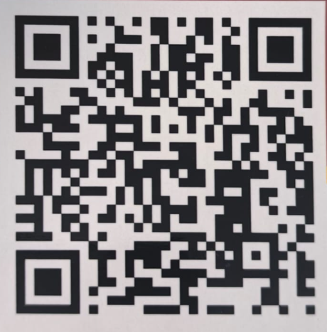 UPI QR Code — Scan to Pay Holiday Planner