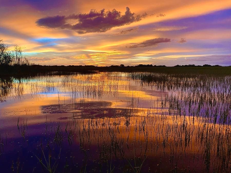 ozzie/colors-of-the-everglades-ozzie-gonzalez_zlratf